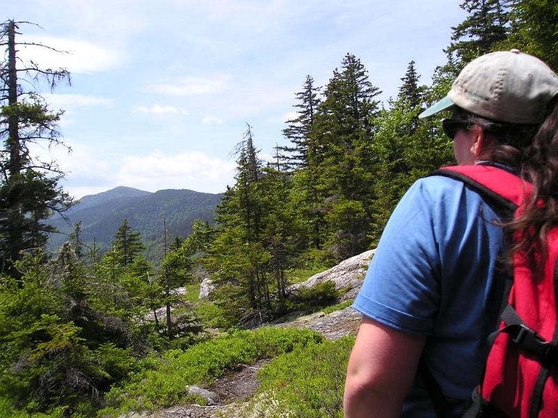 Meader (9).JPG - Danielle enjoying the view from our first outlook.